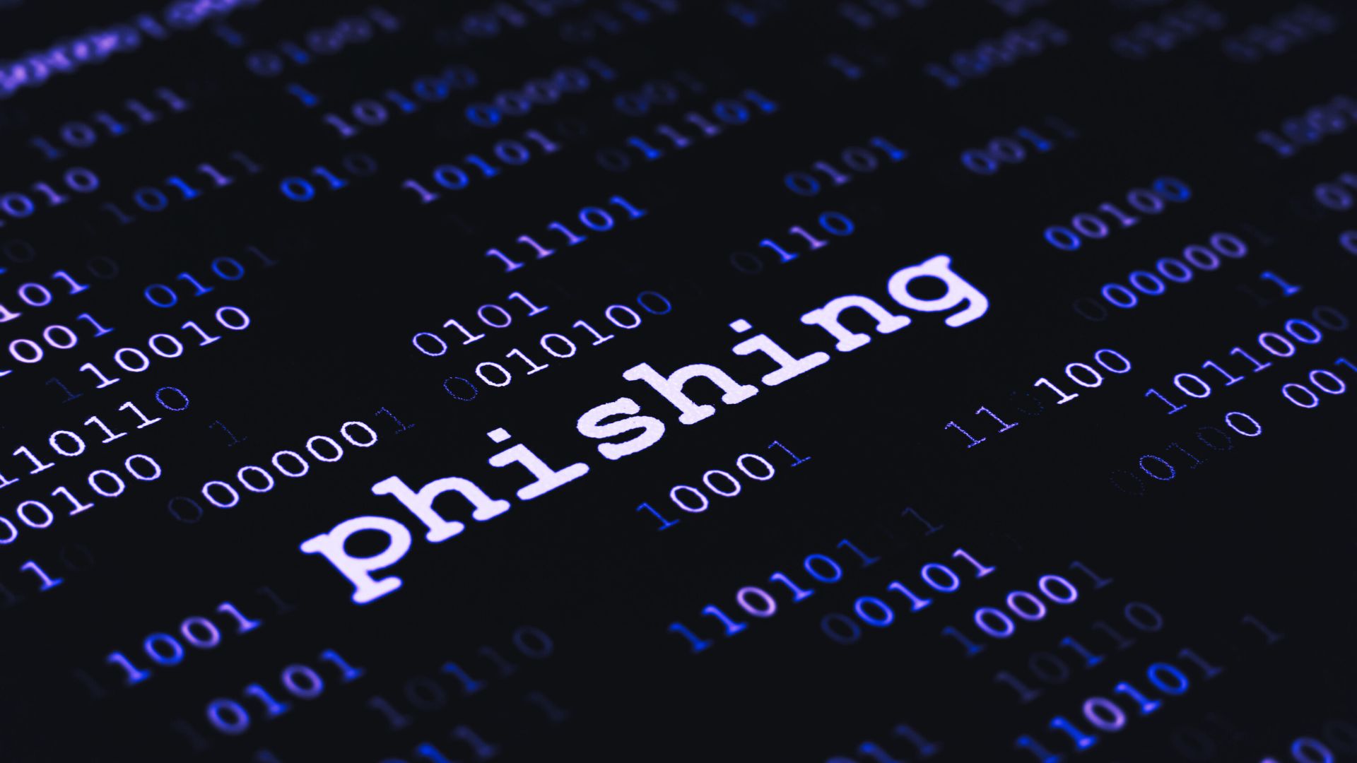 black and purple phishing